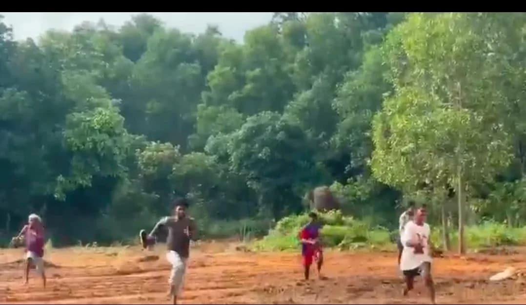 रिहायशी इलाके में घुसा जंगली हाथी, ग्रामीणों को दौड़ाया; गांव में मची अफरा-तफरी